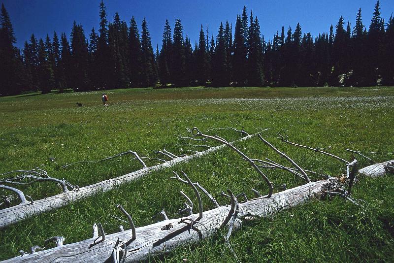 1994-08 Taneum Ridge with Mark and Liz 04.jpg